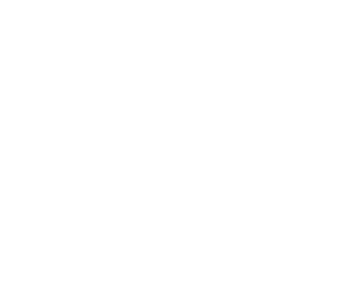 Stevie Ray Vaughan